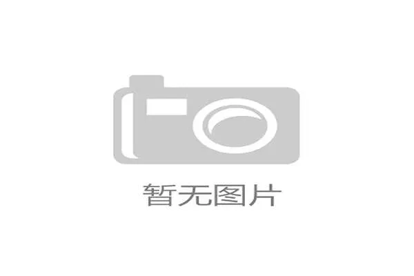 佛得角队能否创造历史 2026世界杯黑马潜力深度解析